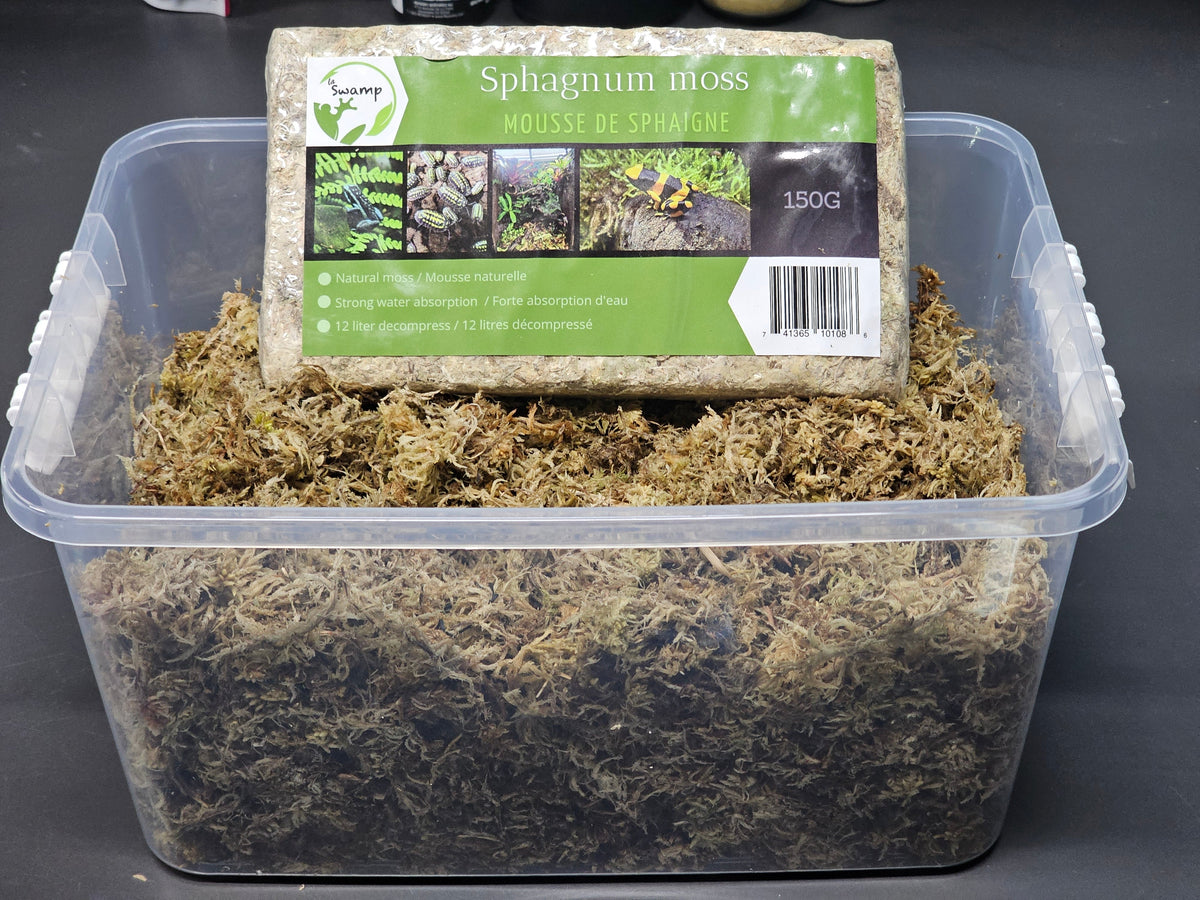 Mousse de sphaigne compressée 150g
