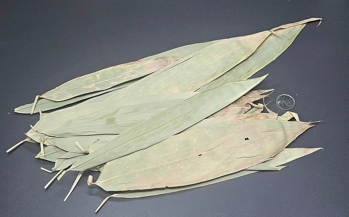 Feuilles de bamboo (1 oz)