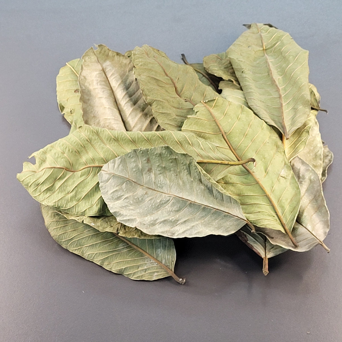 Feuilles de Goyavier (1.5 oz)