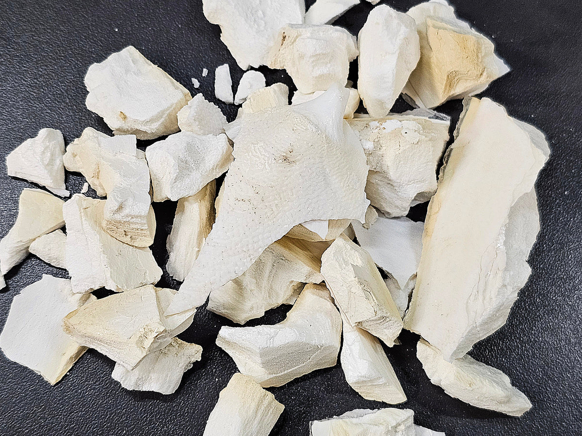 Os de seiche concassés (100g)