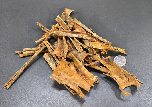 Écorce d'Arjuna (50g)