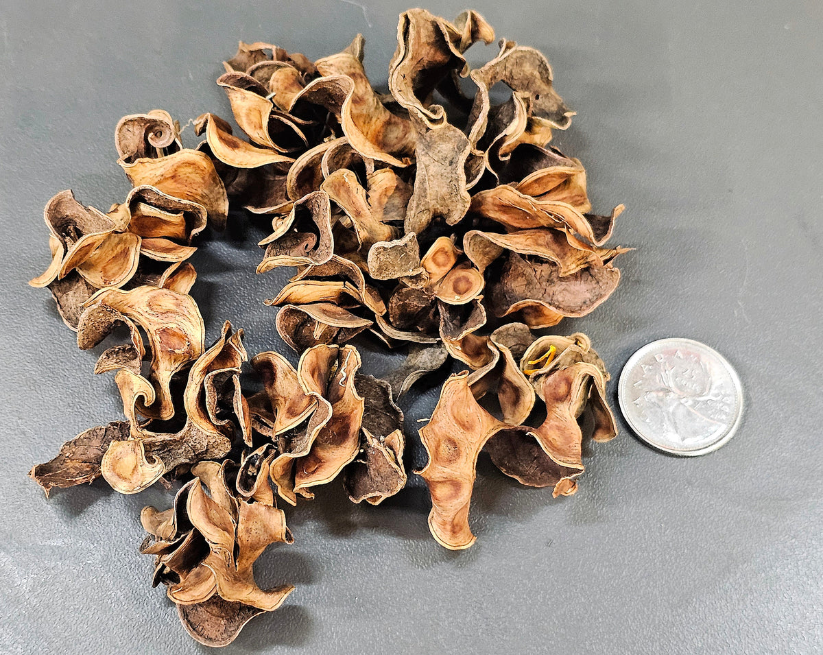 Gousse frisées (0.5oz)
