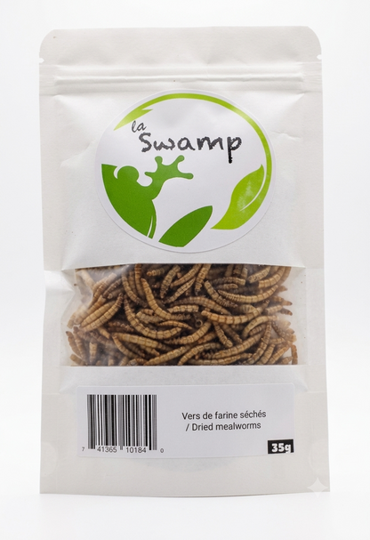 Vers de farine séchés (35g)