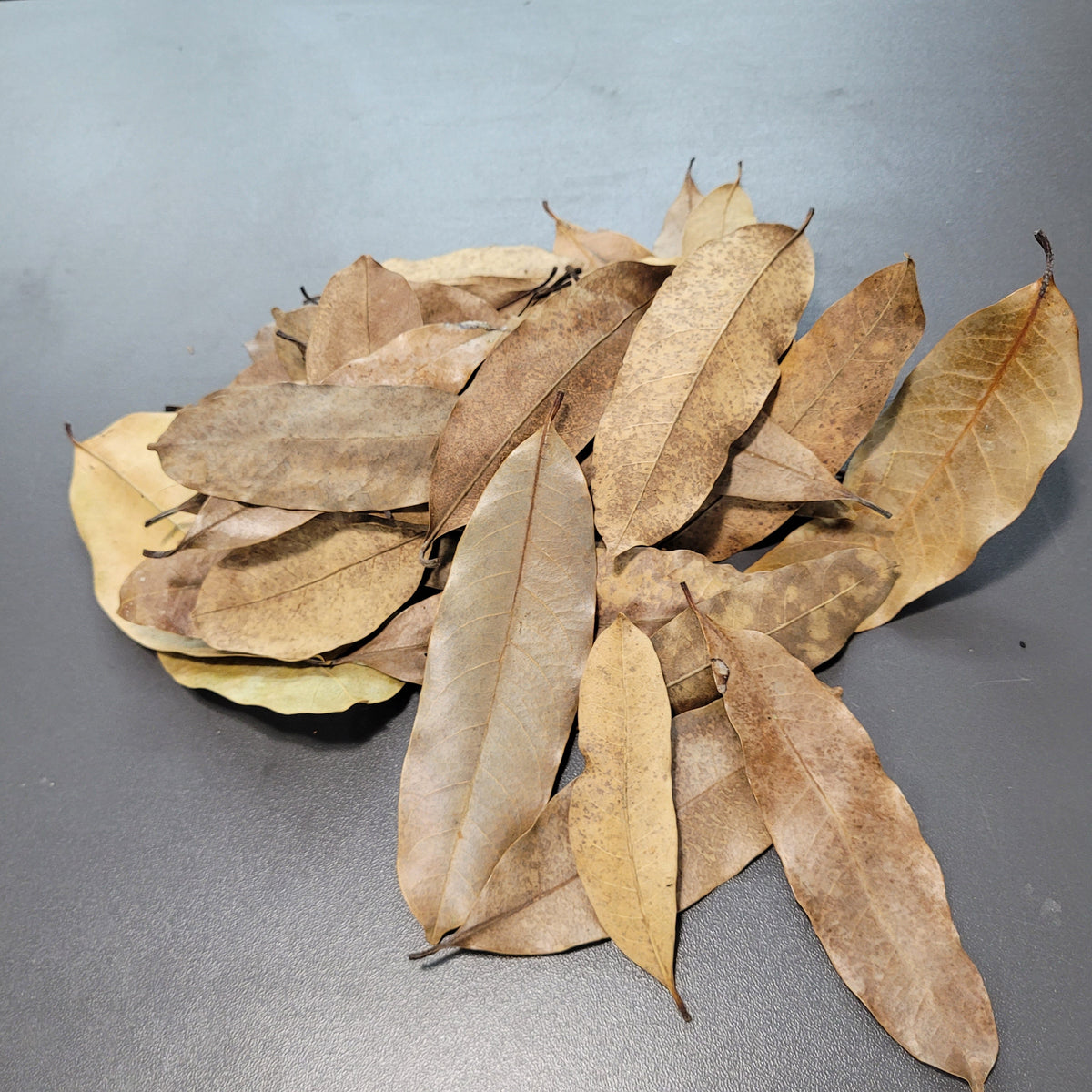 Feuilles de Khaya (0.5 oz)