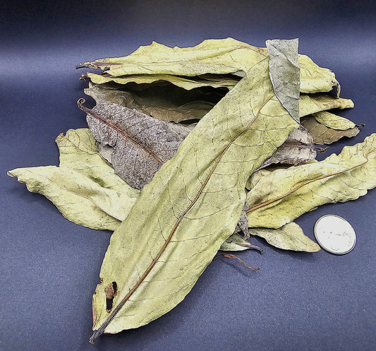 Feuilles de Kumbuk (1.5 oz)