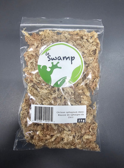 Mousse de sphaigne du Chili 25g / Chilean sphagnum moss 25g