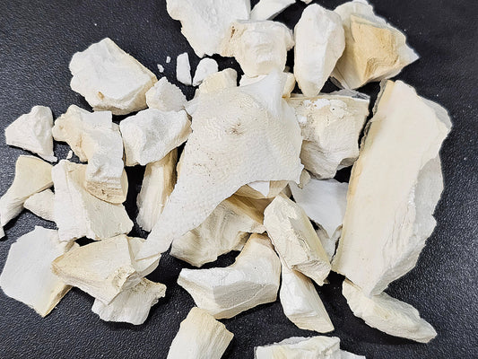 Os de seiche concassés (225g)