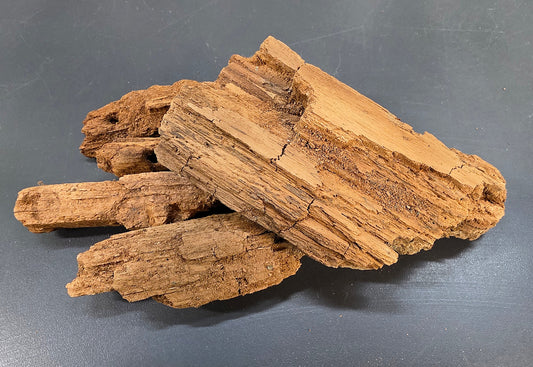 Bois en décomposition 100g
