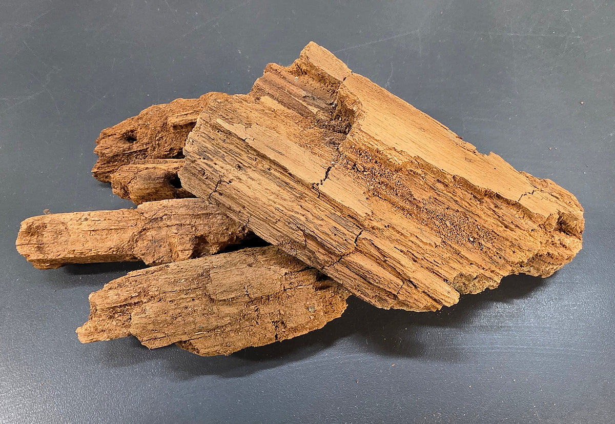 Bois en décomposition 250g